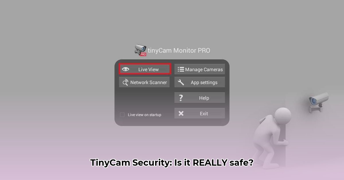 tinycam-app